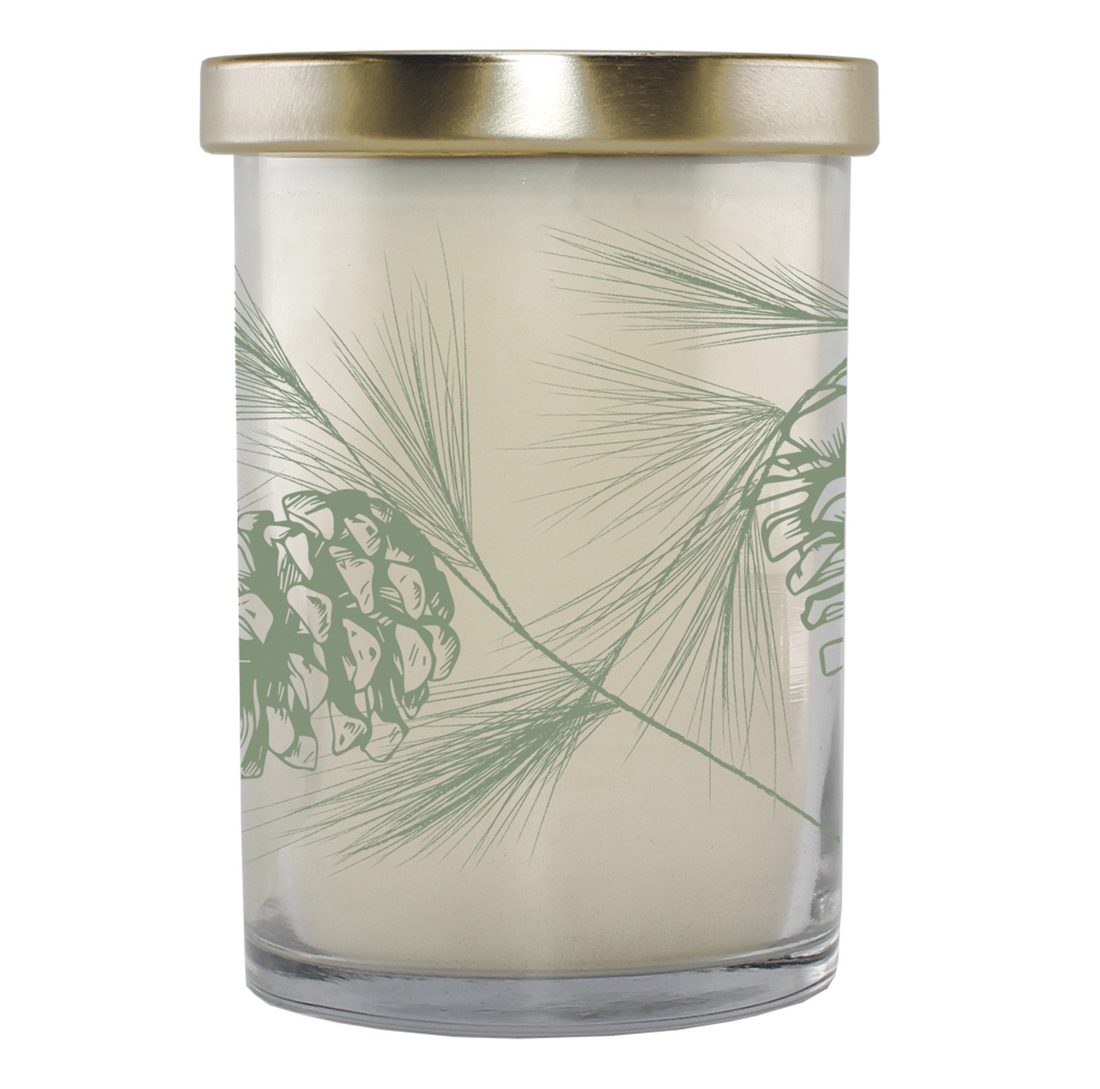 winter Pine
