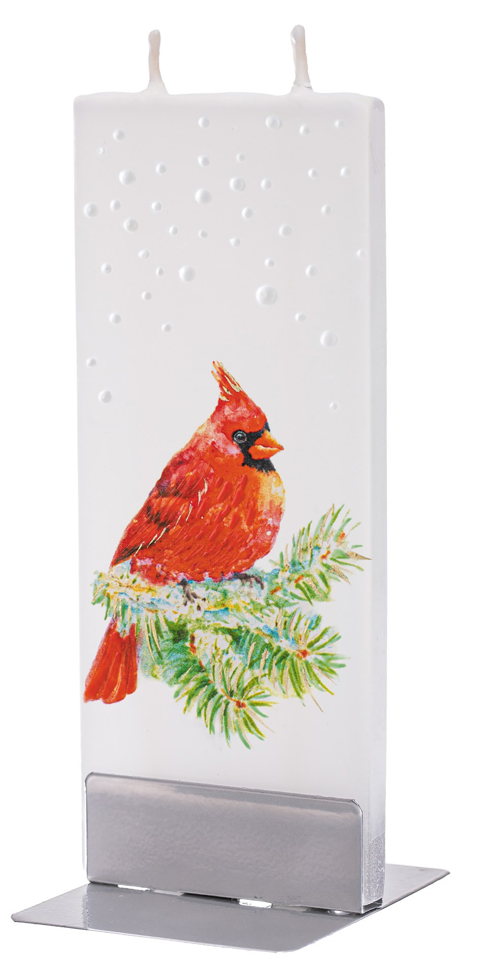 Cardinal on Pine Branch