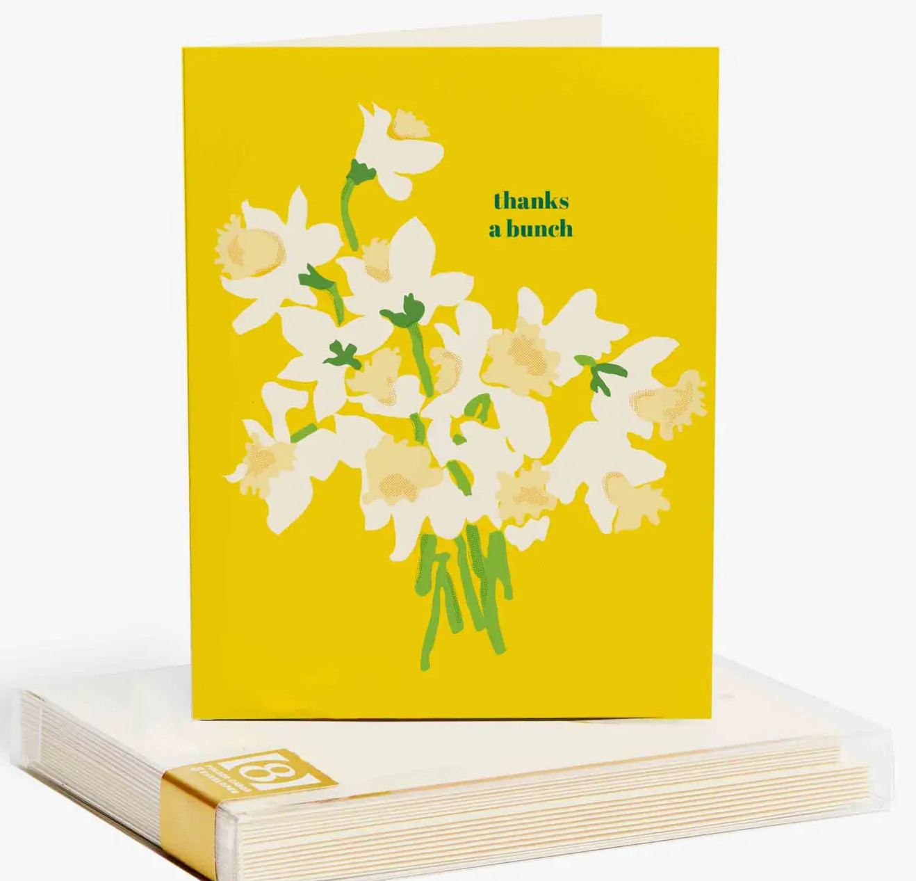 Snow & Graham Thank You Cards - Daffodils (set of 8)