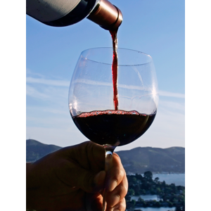Specialty Wine Club - Pinot Noir Only