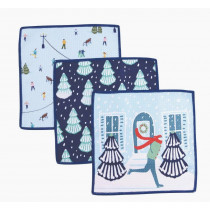 Dish Cloth - Microfiber, Winter (set of 3)