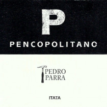 Pedro Parra y Familia P Pencopolitano