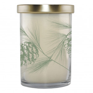 winter Pine