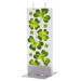 Four Leaf Clover Flat Candle