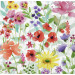 Summer Blooms