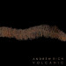 Andrew Rich Volcanic Pinot Noir
