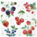 Summer Fruits