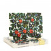 Babbington Thank You Cards