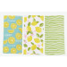 Dish Towel (set of 3) - Limone