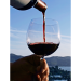 Specialty Wine Club - Pinot Noir Only